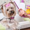 Cat Grooming Comb for Removing Pet Hair view 2