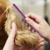 Cat Grooming Comb for Removing Pet Hair view 3
