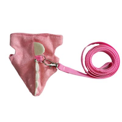 Rabbit Leash and Harness Set