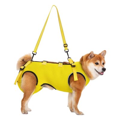HDOYTXXM Adjustable Breathable Pet Support Lift Harness for Senior Dogs