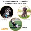 HDOYTXXM Adjustable Breathable Pet Support Lift Harness for Senior Dogs view 4