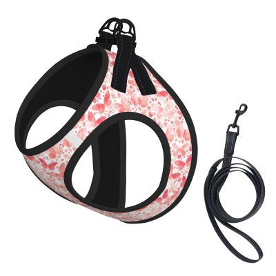 Dog Harness and Leash Set - Butterfly Watercolor Pink