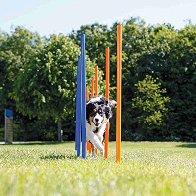 Agility Weave Poles for Dogs, Adjustable Spacing, Outdoor Training Equipment
