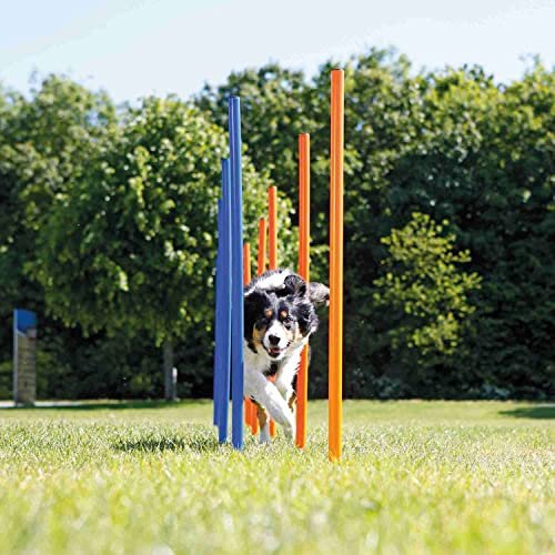 Agility Weave Poles for Dogs, Adjustable Spacing, Outdoor Training Equipment