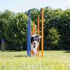 Agility Weave Poles for Dogs, Adjustable Spacing, Outdoor Training Equipment view 1