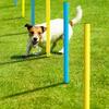 Agility Weave Poles for Dogs, Adjustable Spacing, Outdoor Training Equipment view 3