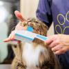 Cat Grooming Brush with Release Button view 3