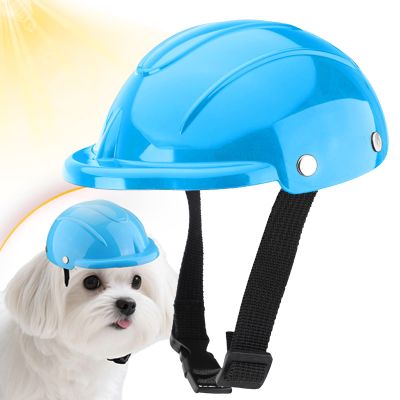 Small Dog Helmet, Motorcycle Gear