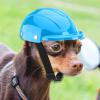 Small Dog Helmet, Motorcycle Gear view 3