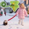 Ferret Harness, Soft Small-Animal Clothing and Ferret Accessory view 3
