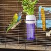 Bird Cage Feeder with Water Reservoir Design view 3