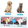 MUELODSIC Pet Toothbrush Single Head view 3