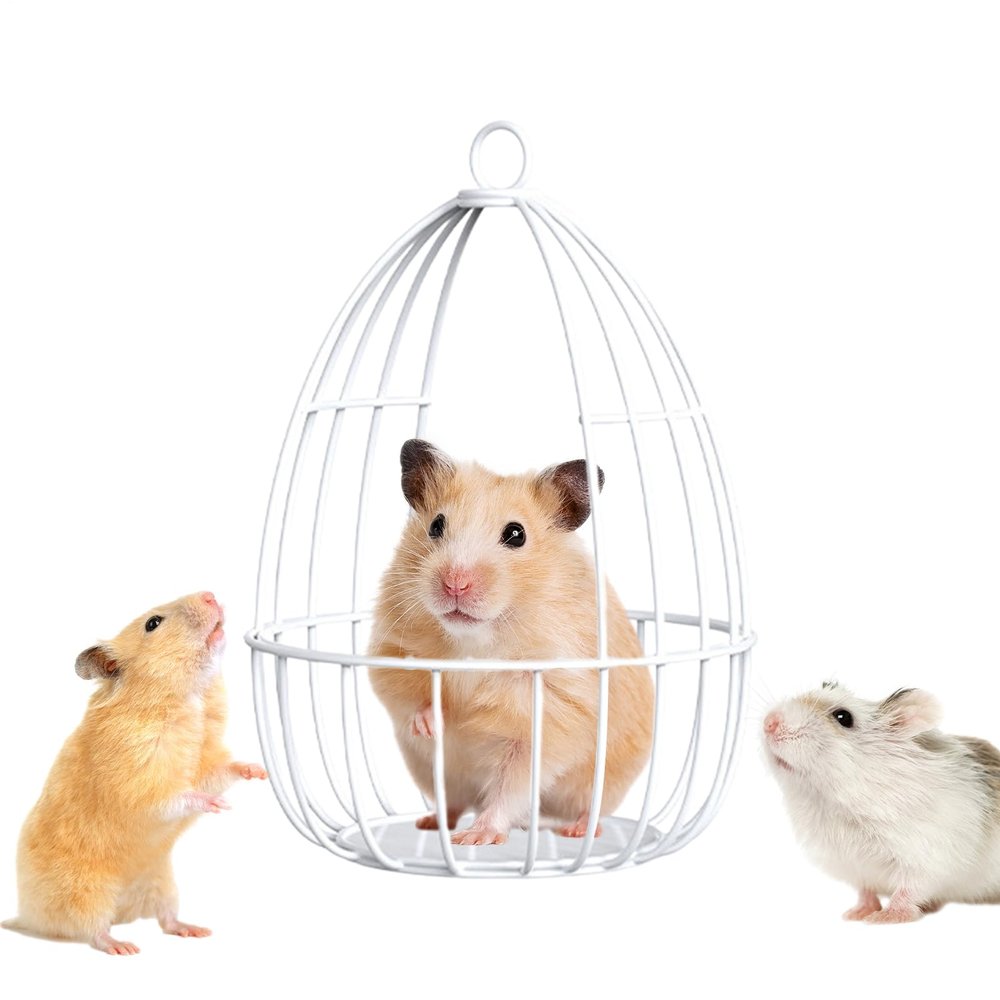 Ylnailky Chinchilla Hammock Dwarf Hamster Toy