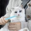 Pill Dispenser for Pets | Non-Slip Pill Shooter view 3