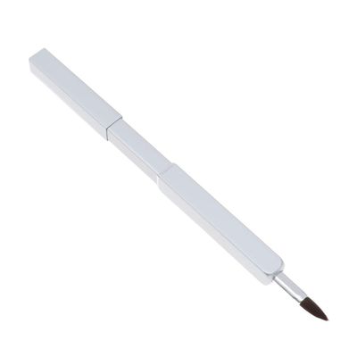 Anneome Retractable Lip Brush with Nylon Bristles, Portable Makeup Brush with Metal Sleeve for Precise Lip Makeup, Suitable for Travel and Professional Use