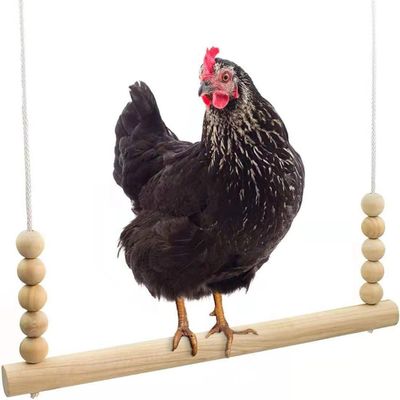 Wooden Chicken Swing for Chickens and Parrots