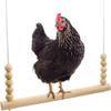 Wooden Chicken Swing for Chickens and Parrots view 1