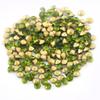Anevous 1,440-Piece 4 mm Orange Nail Rhinestones view 4