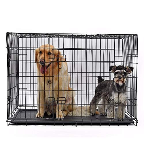 Foldable Metal Dog Crate for Medium and Large Pets, Portable and Easy to Clean