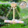 Indoor Bird Stand | Bird Swing Rope Toy Perch | Hammock Cage Accessory for Finches, Lovebirds, Budgerigars - Indoor & Outdoor Use view 2