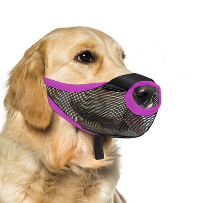 Biteprevent Breathable Mesh Dog Muzzle for Daily Use and Outdoor Activities