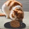 Silicone Pet Feeding Mat view 2