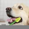 360-Degree Pet Toothbrush view 2