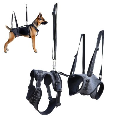 Dog Lift Harness for Mobility Support and Rehabilitation