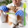 Dog Toothbrush with Long Handle view 2