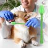Toothbrush for Small Dogs, 360-Degree Care Tool view 2