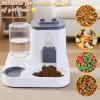 Self-Replenishing Pet Feeder and Waterer, 2 L Food Storage and 1 L Drinking Fountain view 2