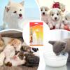 Kitten Feeding Bottle with Leakproof Nipple and Cleaning Brush view 4
