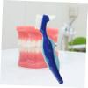 Beatifufu 4-Pack Denture Brushes with Soft Nylon Bristles and PP Handles, Assorted Colors view 2