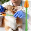 Dog Toothbrush with Long Handle and Soft 360° Bristles view 3