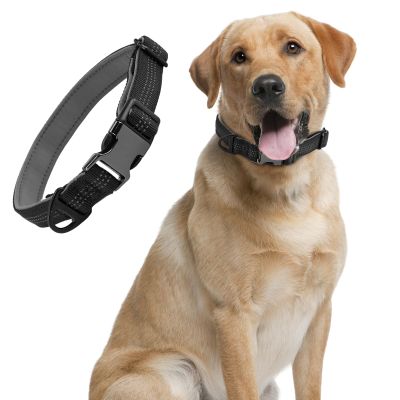 Puppy Collar, Padded Adjustable Dog Collar, Soft Neoprene Padding, with Plastic Buckle and Ring, Classic Dog Collar, Easy Care, Black S(30-40cm)