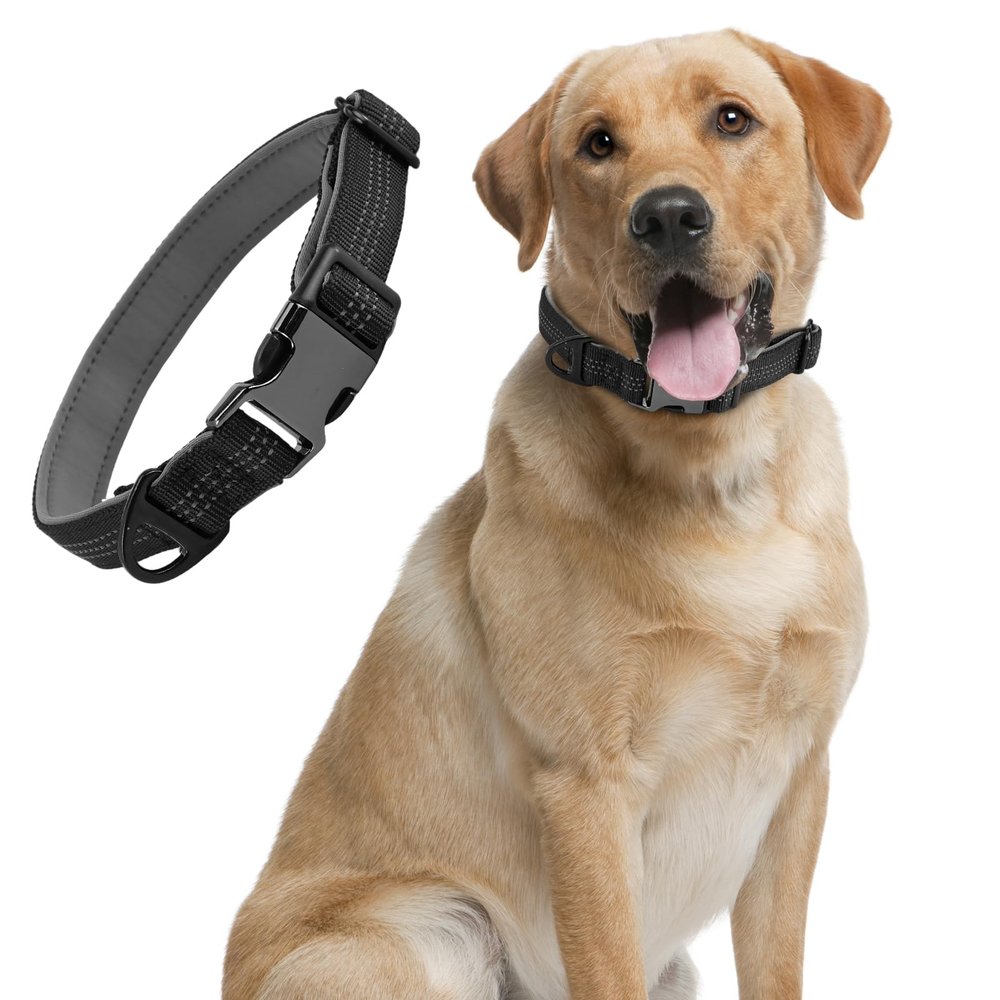 Puppy Collar, Padded Adjustable Dog Collar, Soft Neoprene Padding, with Plastic Buckle and Ring, Classic Dog Collar, Easy Care, Black S(30-40cm)