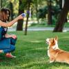 Penlimly Dog Training Clicker, Talking Buttons for Dogs view 2