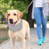 Adjustable Dog Neck Support Collar for Wound Care view 2
