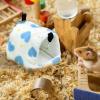 Cozy Habitat for Hamsters and Ferrets view 2