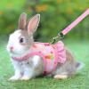 Adjustable Rabbit Harness with Elastic Leash view 3