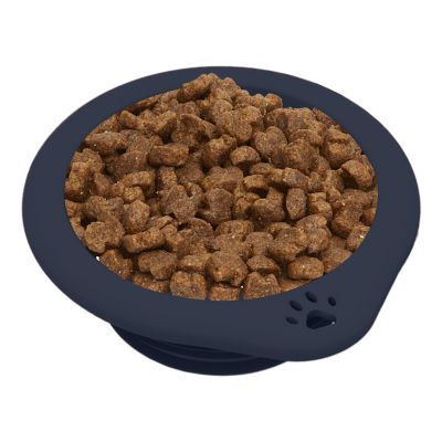 Portable Dog Bowl, 300 ml