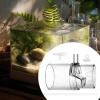 Zasdvn Oxygen for Aquariums - No Power Aquarium Air | Improves Water Quality Adjustable Filter for Ponds & Axolotl Habitats view 2