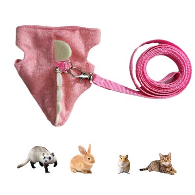 Soft, Cute Ferret Harness with Dino Design