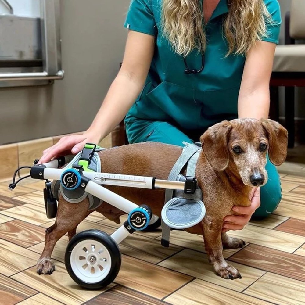 Dog Wheelchair for Small Dogs, Hind Leg Support, Breathable, Foldable, Easy Assembly (XXS Size)