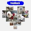 Small Dog Wheelchair for Hind Legs, Pet Rehabilitation Cart for Cats, Dogs and Puppies view 2