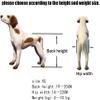 Adjustable 4-Wheel Dog Wheelchair for Small Dogs view 3