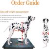 Adjustable Dog Wheelchair, 2-Wheel Cart for Hind-Leg Rehabilitation, 6 Sizes view 2