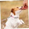 Kisangel Adjustable Beaded Puppy Collar with Leash for Small Dogs view 3