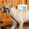 Dog Muzzle Holder, Adjustable Training Harness view 2