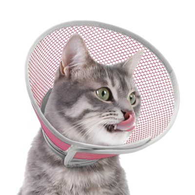 Supet Cat Recovery Collar - Soft & Adjustable